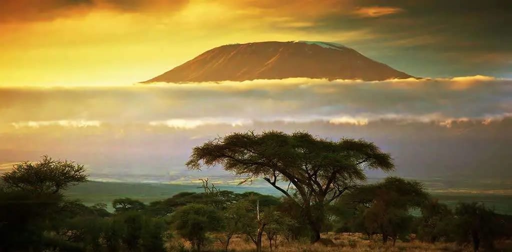 Kilimanjaro golden sunset